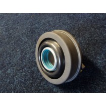 [201024] COMPLETE THRUST BEARING WITH SEALS (Pattern)